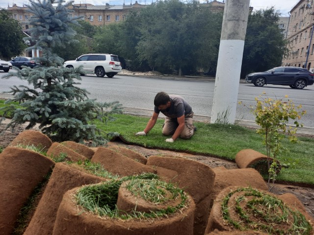В Волгограде на улице Рабоче-Крестьянской начали укладывать газон